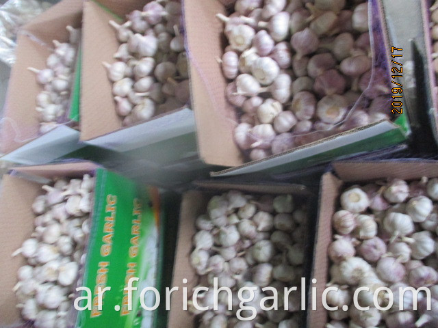 How To Preserve Garlic In Fridge